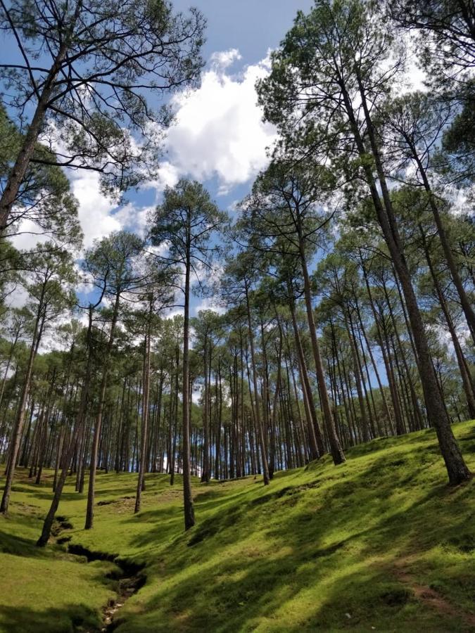 The Frostwood Resort Ranikhet Exterior foto